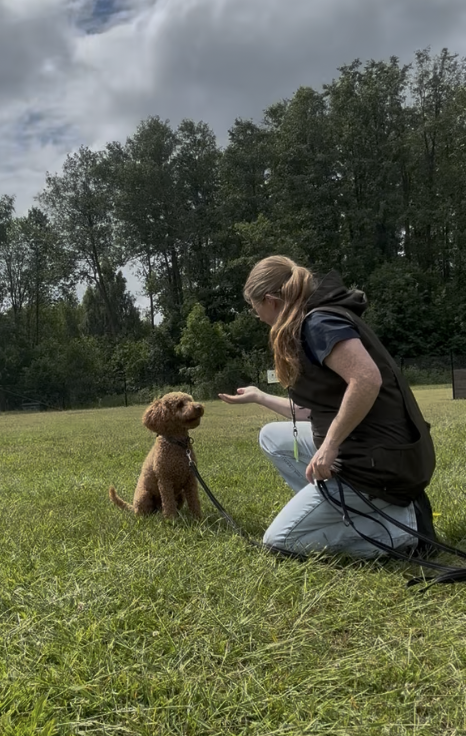 Lina tränar en brun hund i gräset